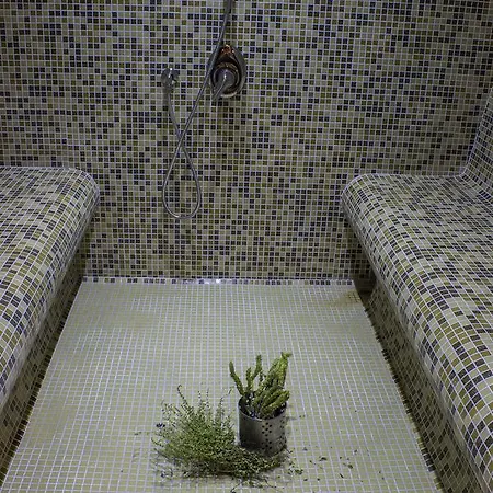 Отель Trigrad Hotel 2*